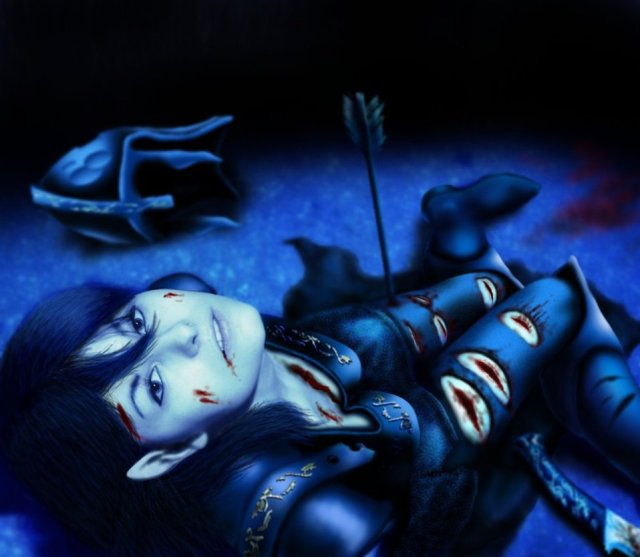 Wounded_Elf_Warrior_Maiden_by_Pol036