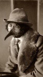 hamilton-hogwood-e1537665685660